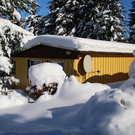 Ferienhaeuser "Zur Hohen Sonne" Thale Zewnętrze zdjęcie