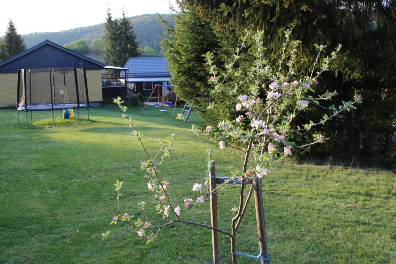 Ferienhaeuser "Zur Hohen Sonne" Thale Zewnętrze zdjęcie